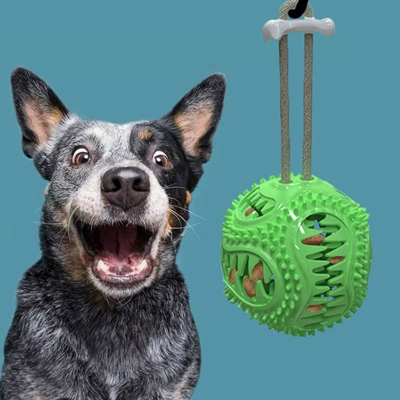 Dog Interactive Tooth Cleaning Toy Balls