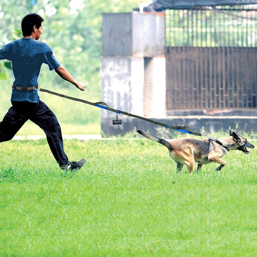 Hands-Free Elastic Waist Dog Leash