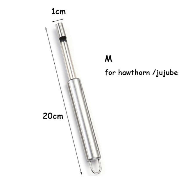 Stainless Steel Fruit Core Remover Tool