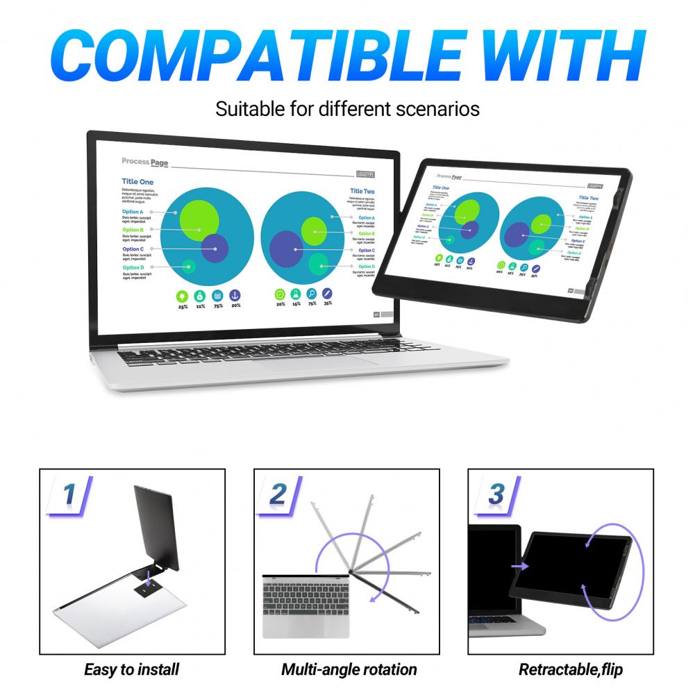 IPS Panel HDMI Compatible Laptop Monitor