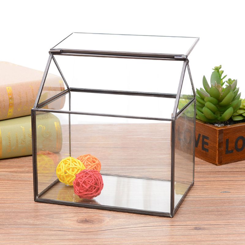 Mini Tabletop Handmade GreenHouse Terrarium