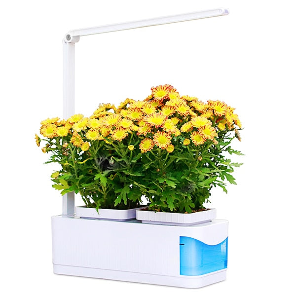 Modern Home Plant Growth Lamp Box