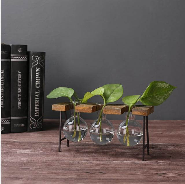 Creative Home Decoration Hydroponic With Iron Feet Plant Vase