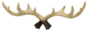 Antlers Decorated Coat Hook