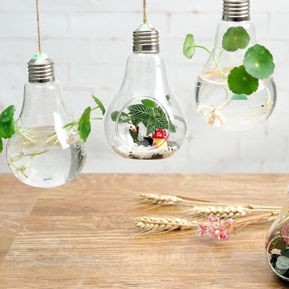 Hanging Glass Light Bulb Lamp Shape Flower Water Plant