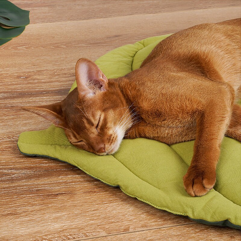 Leaf Comfy Cat Bed