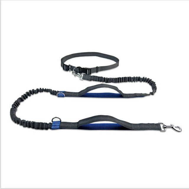 Hands-Free Elastic Waist Dog Leash