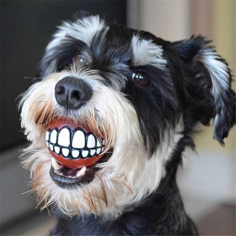 Funny Smile Rubber Pet Chew Toys