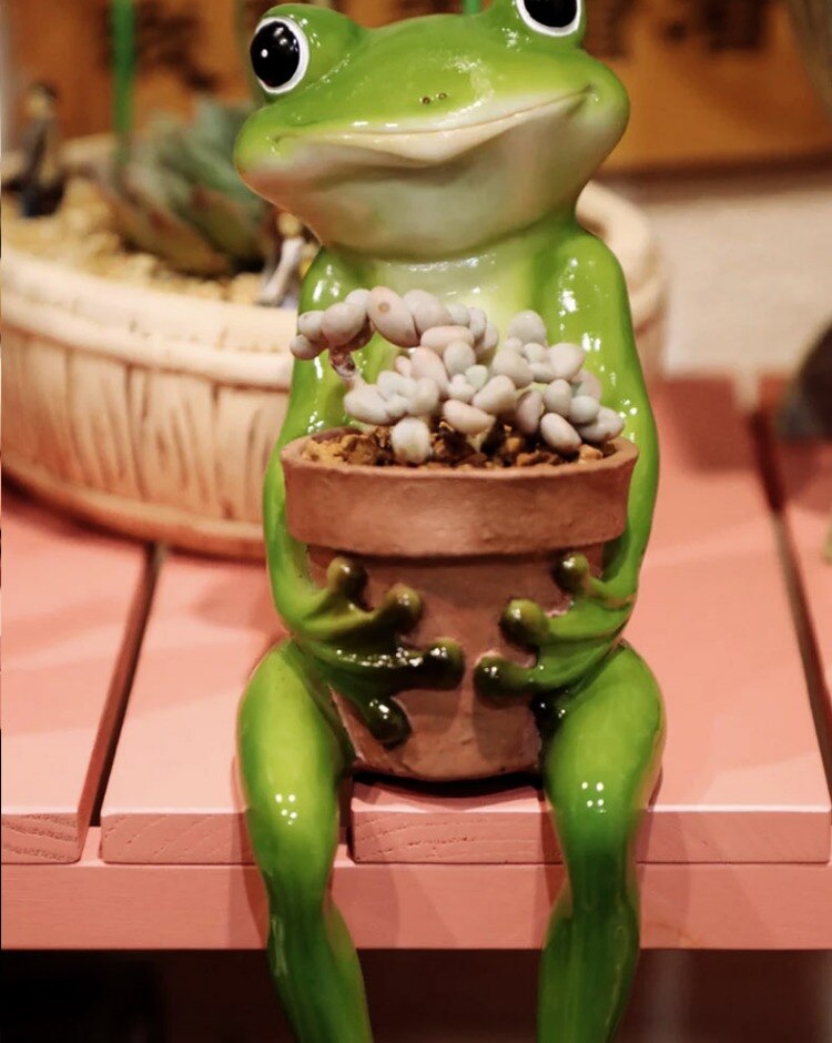 Resin Frog Fairy Flower Pot