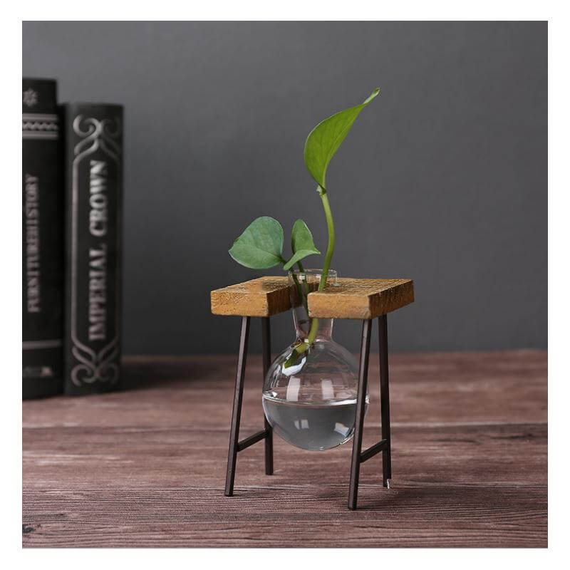 Creative Home Decoration Hydroponic With Iron Feet Plant Vase