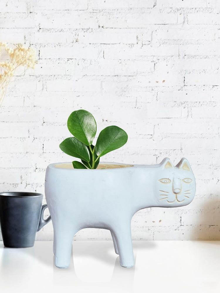 Lovely Ceramic Cat Plant Vase