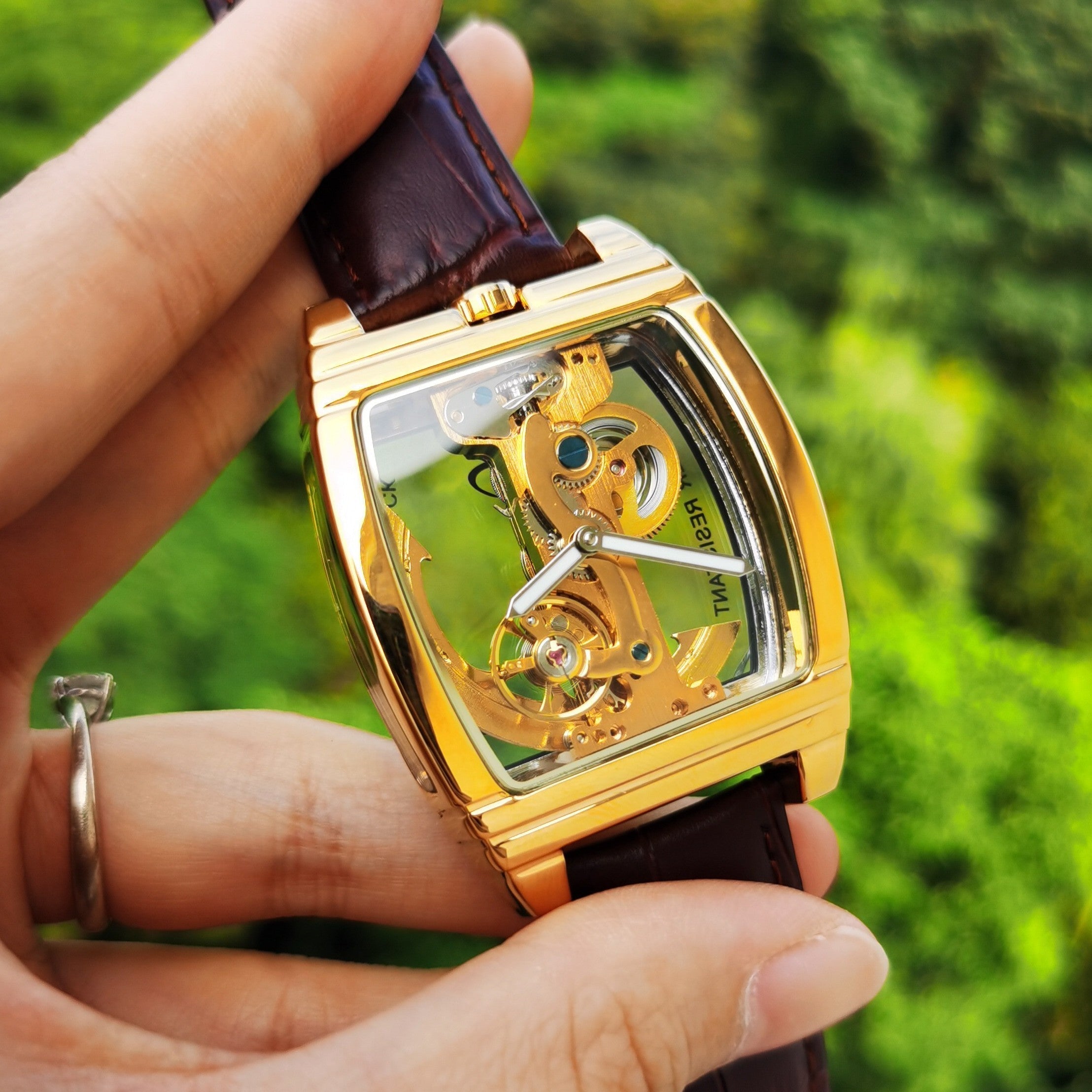 Elegant Self Winding Transparent Mechanical Men Watches