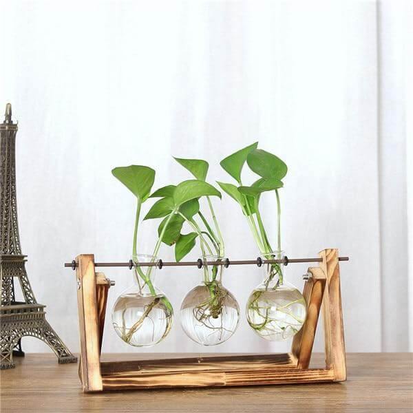 Creative Transparent Wooden Vase Decoration