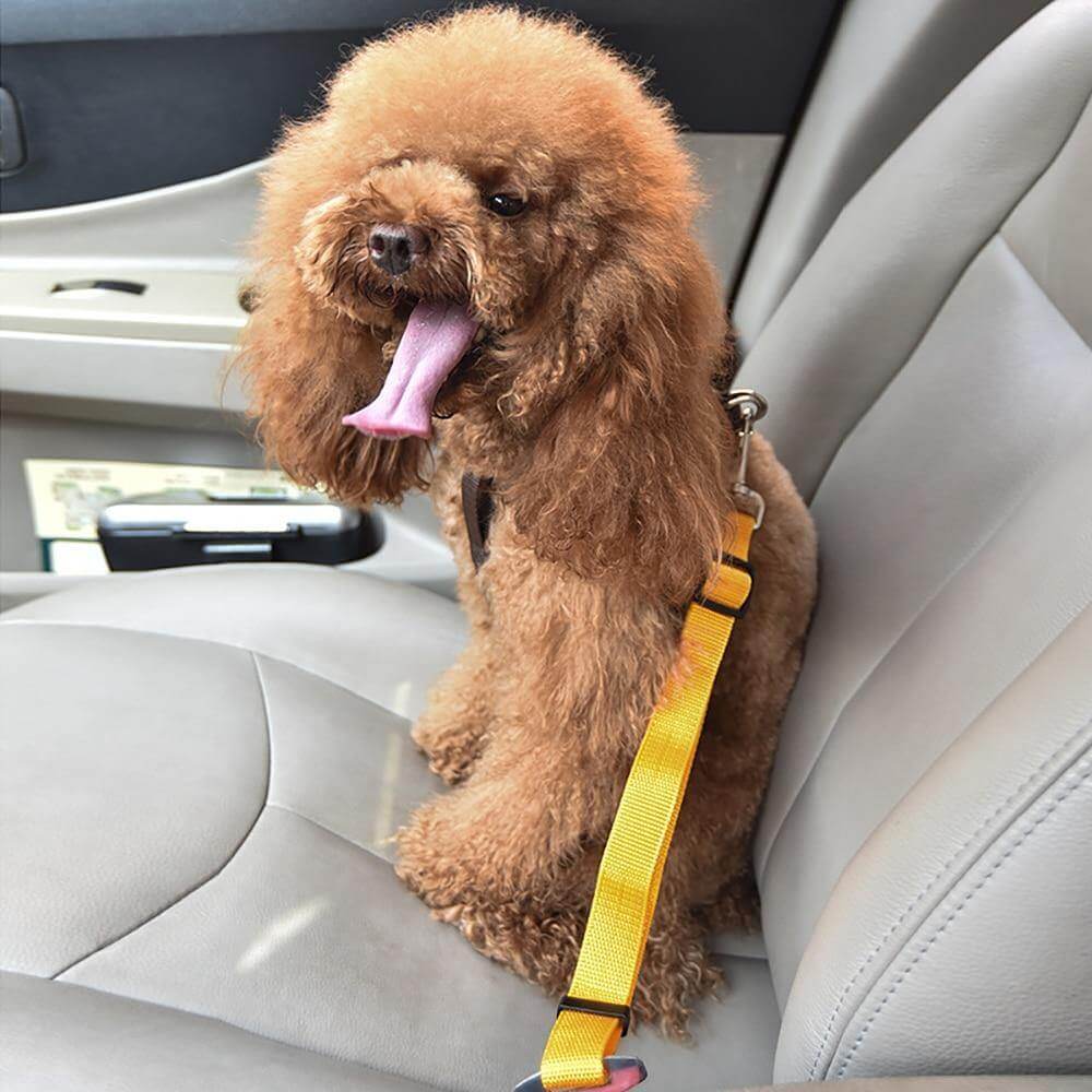 Adjustable Car Pet Safety Belt