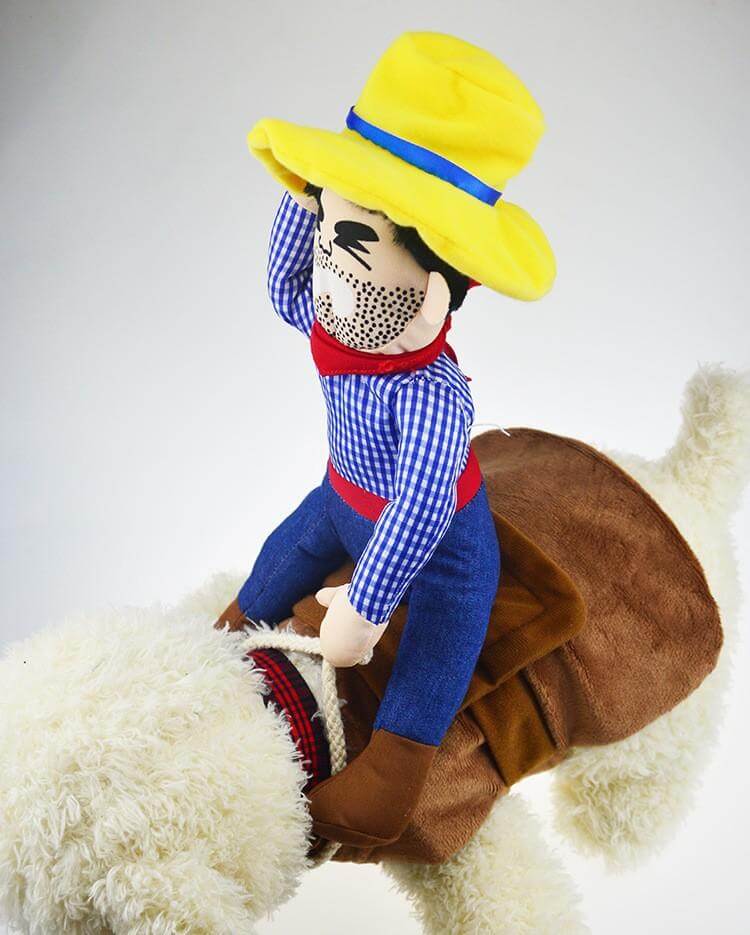 Riding Horse Dog Costume