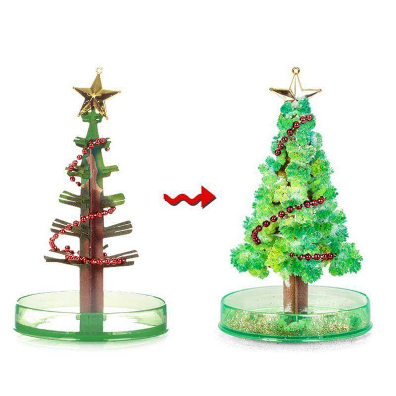 DIY Magic Growing Christmas Tree