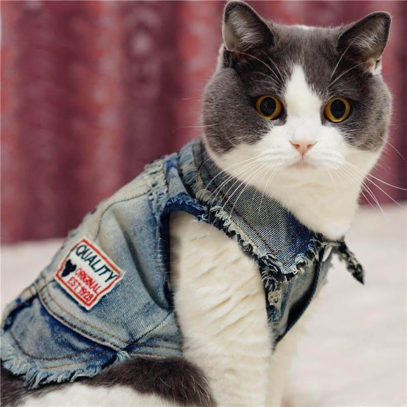 Pet Cowboy Jean Jacket