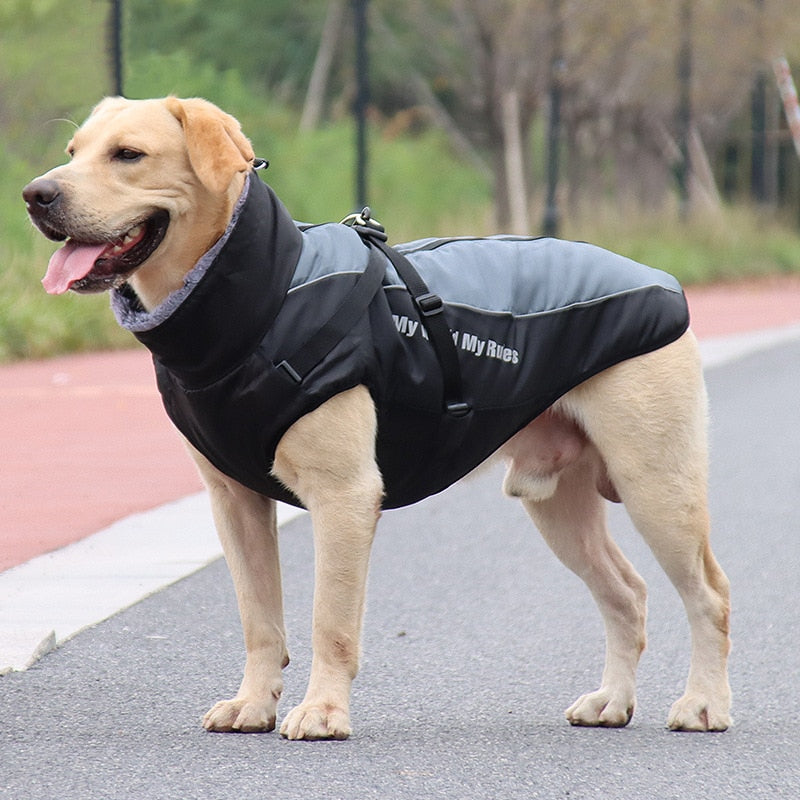 Waterproof Winter Dog Jackets