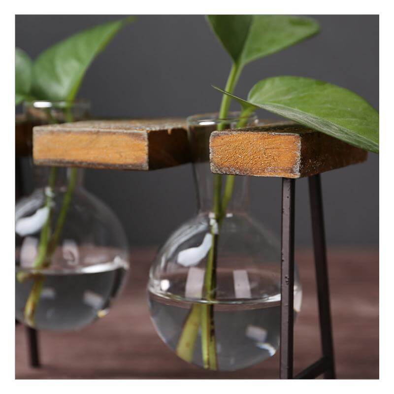 Creative Home Decoration Hydroponic With Iron Feet Plant Vase