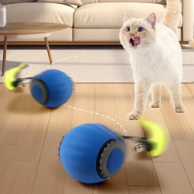 Forever Run Motion Cat Play Ball Toy