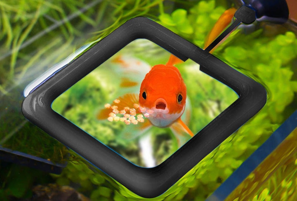 Creative Aquarium Floating Fish Feeder Tray