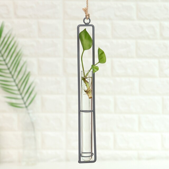 Iron Transparent Wall Hanging Flower Pot