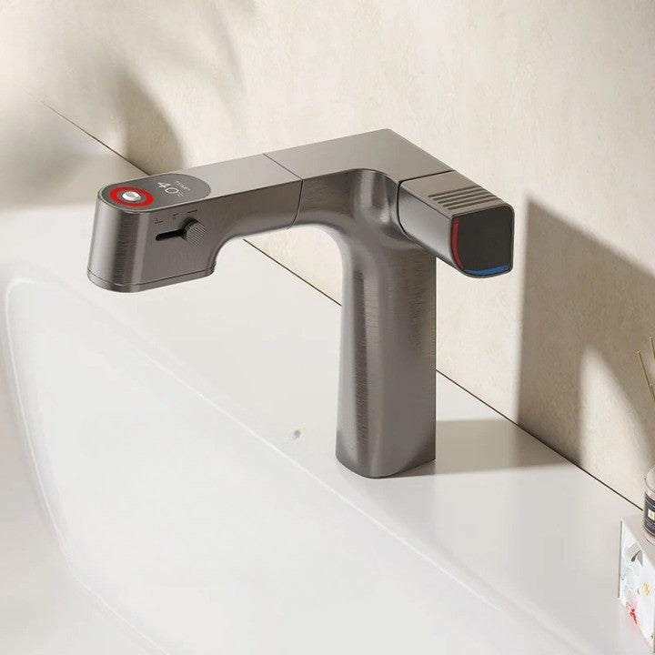 Pull-Out Water Filter LED Temperature Control Faucet