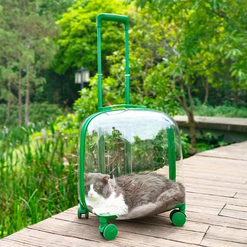 Transparent Pet Travel Trolley Capsule