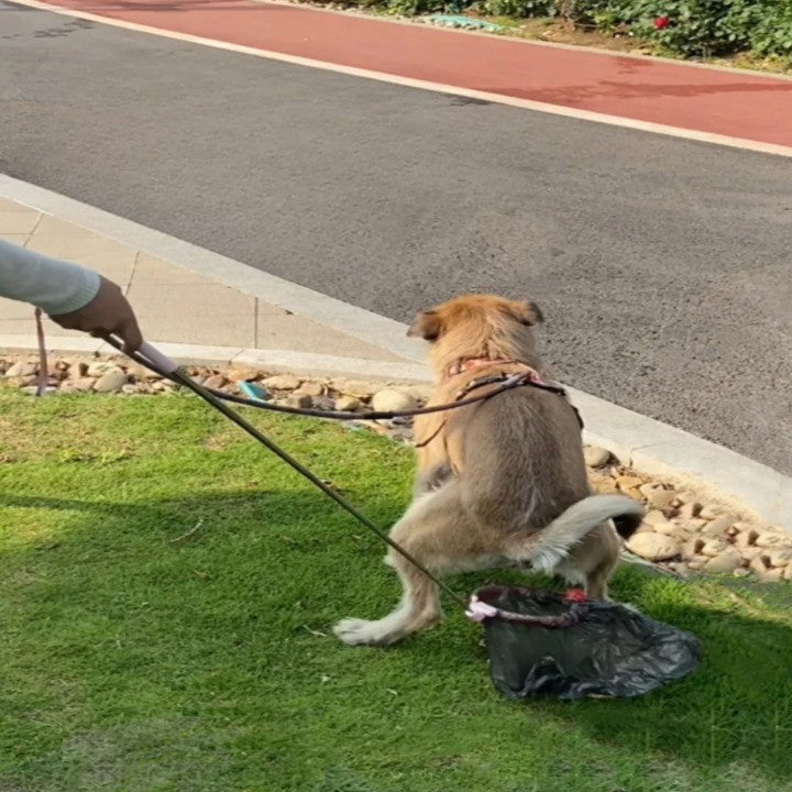 Telescopic Outdoor Pet Waste Scooper