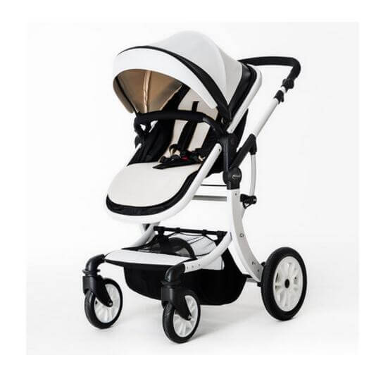 Stylish Modern Baby Strollers