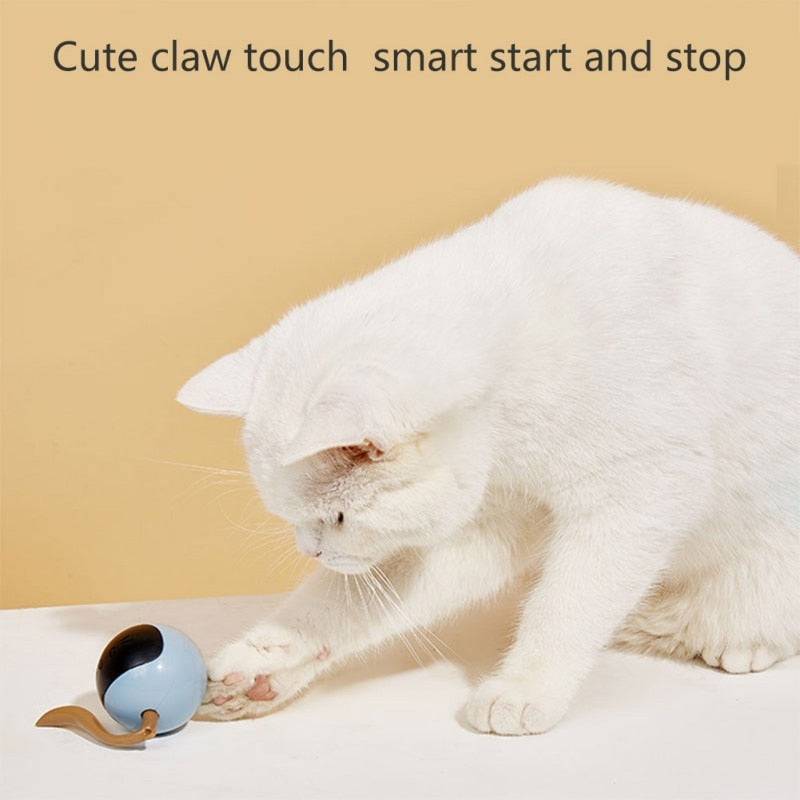 Self Rotating Cat Toy