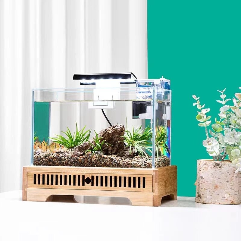 Mini Underwater Haven Desktop Aquarium