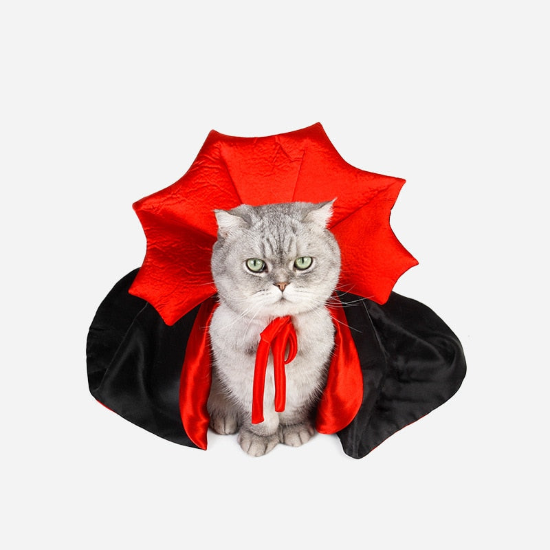 Vampire Cat Halloween Costume