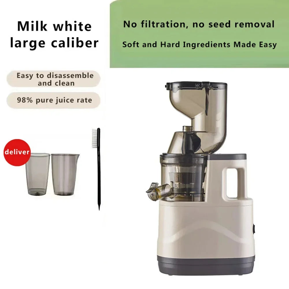 Electric Masticating Quick Vitamin Juicer Machine