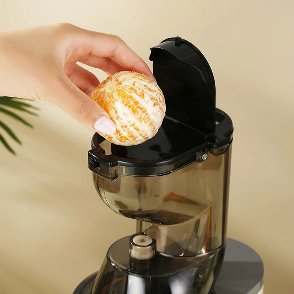 Electric Masticating Quick Vitamin Juicer Machine