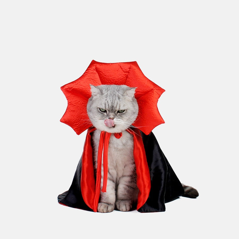 Vampire Cat Halloween Costume