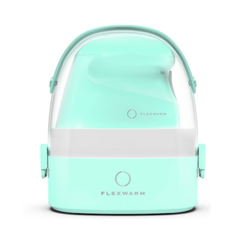 Mini Portable Powerful Steam Iron