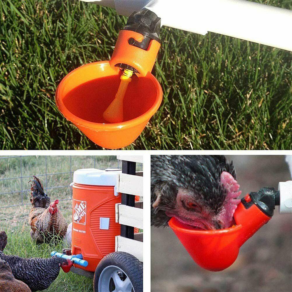 Automatic Farm Animal Water Dispenser Set