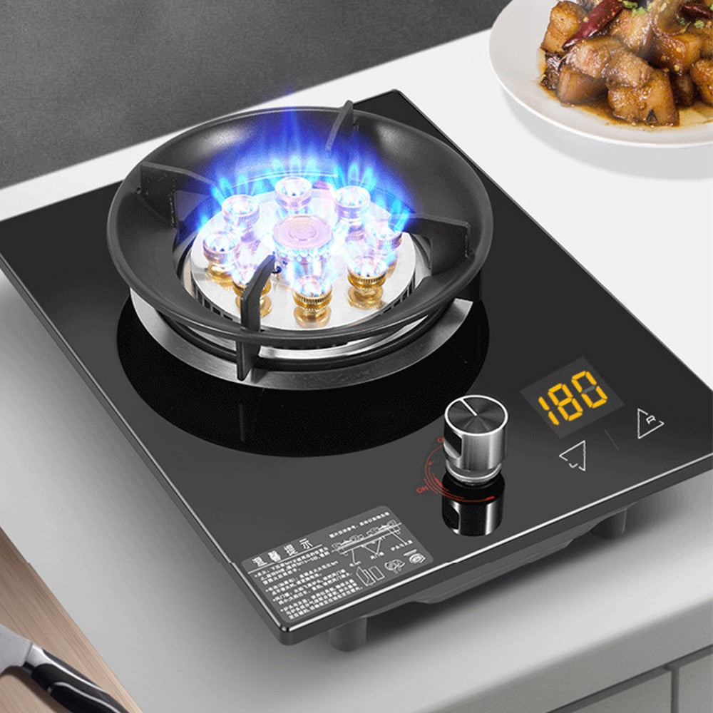 Single Unit Panel Gas Stove