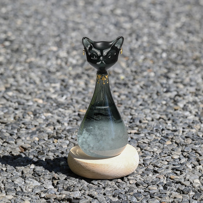 Cat-Inspired Weather Forecast Bottle