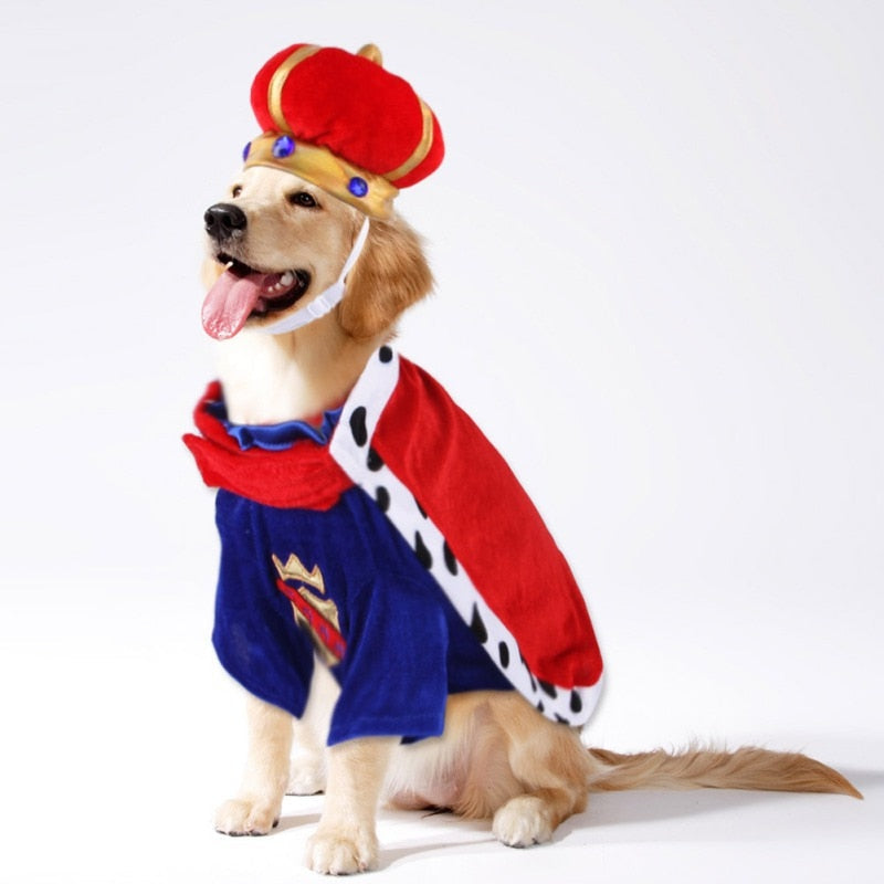 King Cute Pet Costume