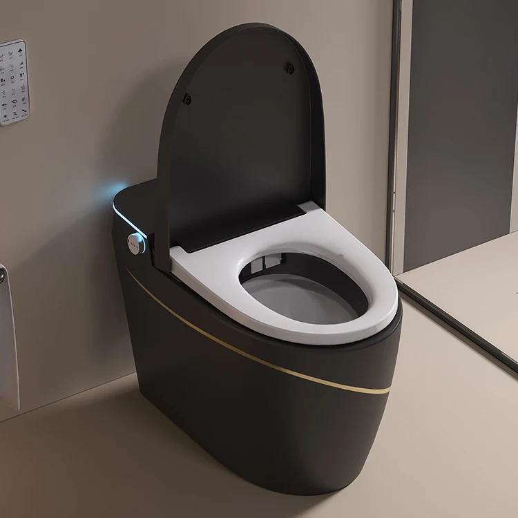 Black Pearl Futuristic Intelligent Elegant Toilet