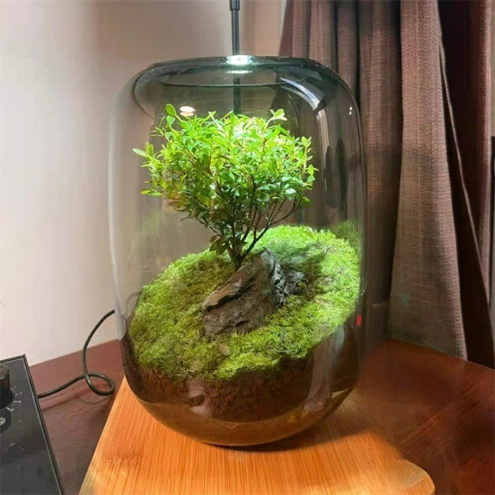 Micro Landscape Green Oasis Glass Vase