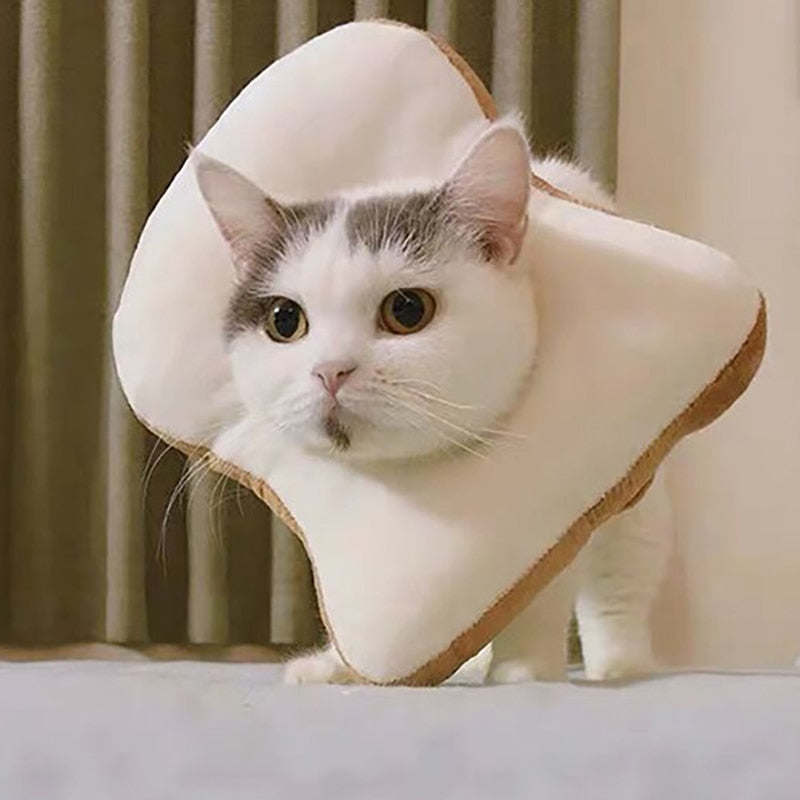 Soft Avocado-Shaped Pet Healing Collar