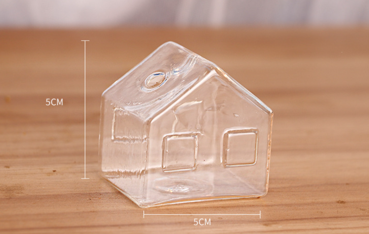 Simple Mini House Glass Flower Vase